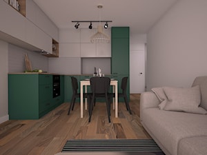 Mieszkanie z zieloną kuchnią - Średnia otwarta z salonem szara z zabudowaną lodówką kuchnia w kształcie litery l, styl nowoczesny - zdjęcie od Ai Pracownia Projektowa
