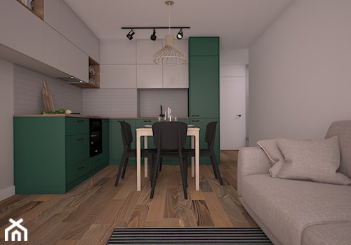 Mieszkanie z zieloną kuchnią - Średnia otwarta z salonem szara z zabudowaną lodówką kuchnia w kształcie litery l, styl nowoczesny - zdjęcie od Ai Pracownia Projektowa