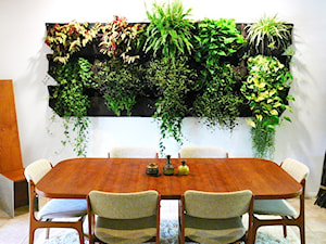 Zielona ściana we wnętrzach – jak i gdzie zamontować oraz jak pielęgnować ogród wertykalny w domu?