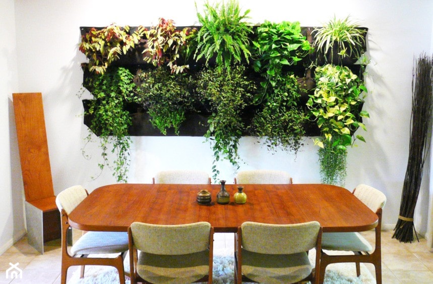 rośliny na ścianę