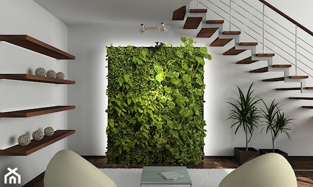 zielona ściana w pokoju