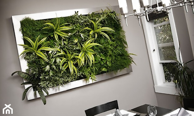 zielony obraz z żywych roślin na ścianie 