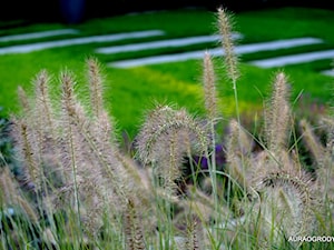 NOWOCZESNY OGRÓD Z KWITNĄCYMI ROŚLINAMI - Ogród, styl nowoczesny - zdjęcie od OGRODOWA AURA