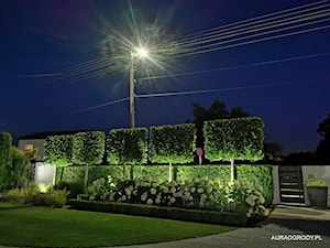 Ogród, styl nowoczesny - zdjęcie od OGRODOWA AURA