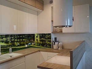 Kuchnia. - zdjęcie od Architects Van Malko