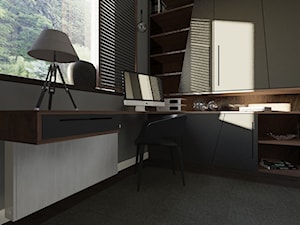 Domowe biuro - Biuro, styl nowoczesny - zdjęcie od Architects Van Malko