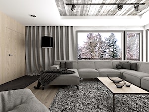 Chłodno i minimalistycznie - Salon, styl minimalistyczny - zdjęcie od ZIELONE studio projektowe