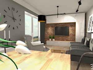 Mieszkanie w stylu industrialnym - Salon, styl industrialny - zdjęcie od ZIELONE studio projektowe