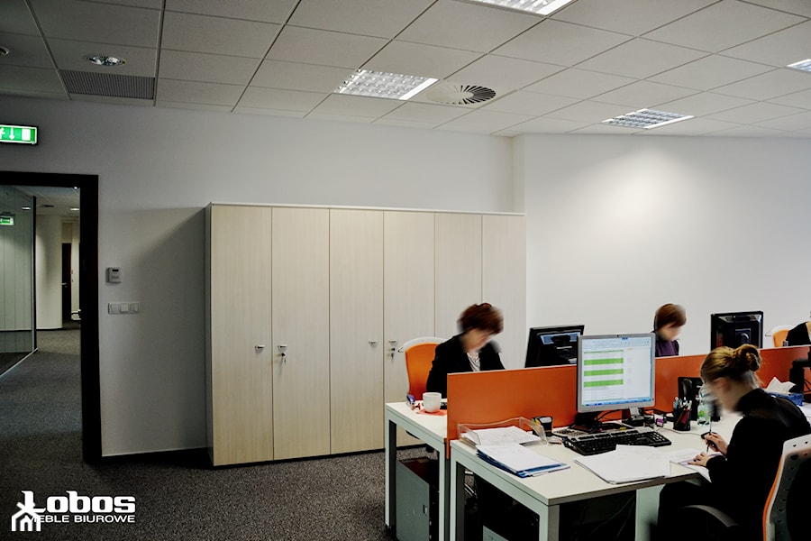 Realizacja biura dla firmy Actavis - Lobos Meble Biurowe - zdjęcie od Lobos Meble Biurowe