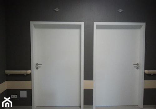 Drzwi medyczne Euroba RP ABS. Marka DANA. - zdjęcie od Drzwi DANA, Podłogi Admonter