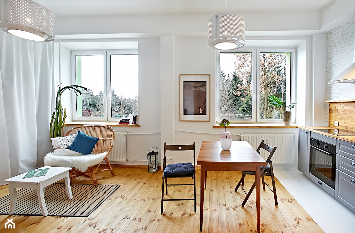 salon z kuchnią w stylu skandynawskim
