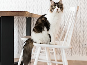 COZY NORDIC HOME ⌂ SKANDYNAWSKIE MIESZKANKO z kotem w tle © 2016 - zdjęcie od ORWAT DESIGN architektura wnętrz
