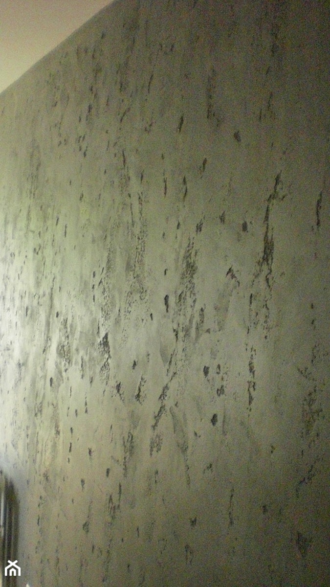 efekt betonu - zdjęcie od raf-bud kompleksowe wykończenia wnętrz