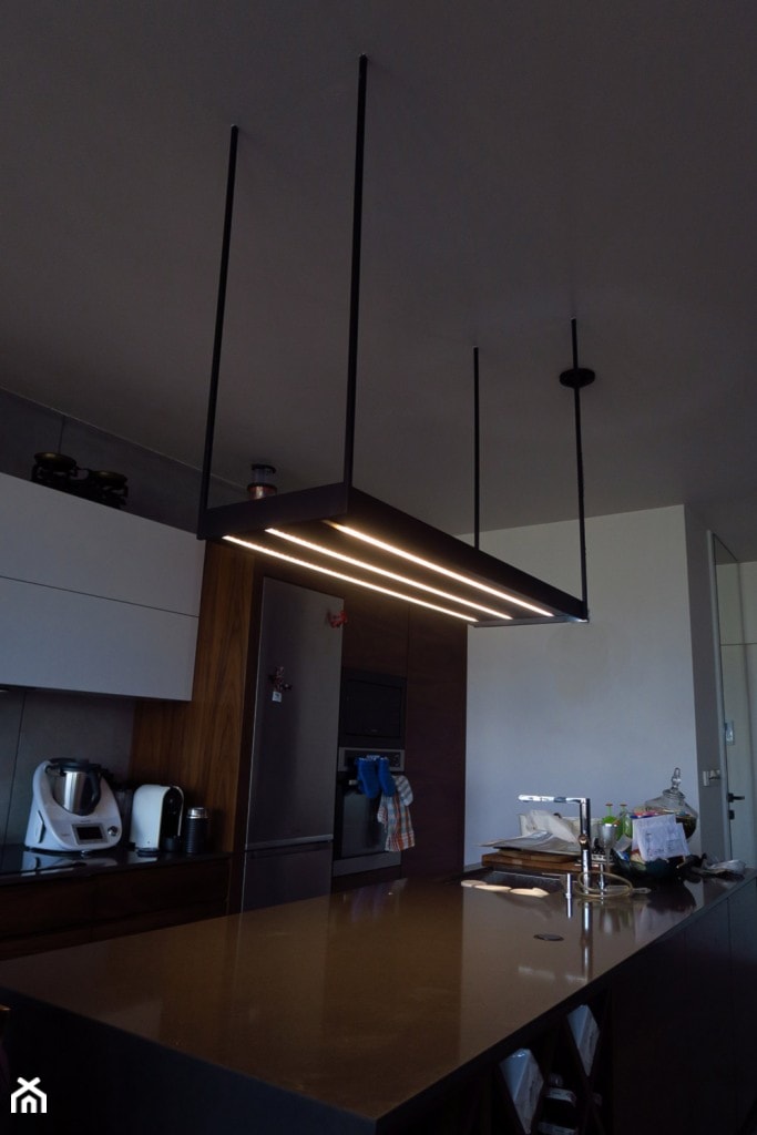 Lampa półka - zdjęcie od MODESTWORK studio projektowe i manufaktura mebli.