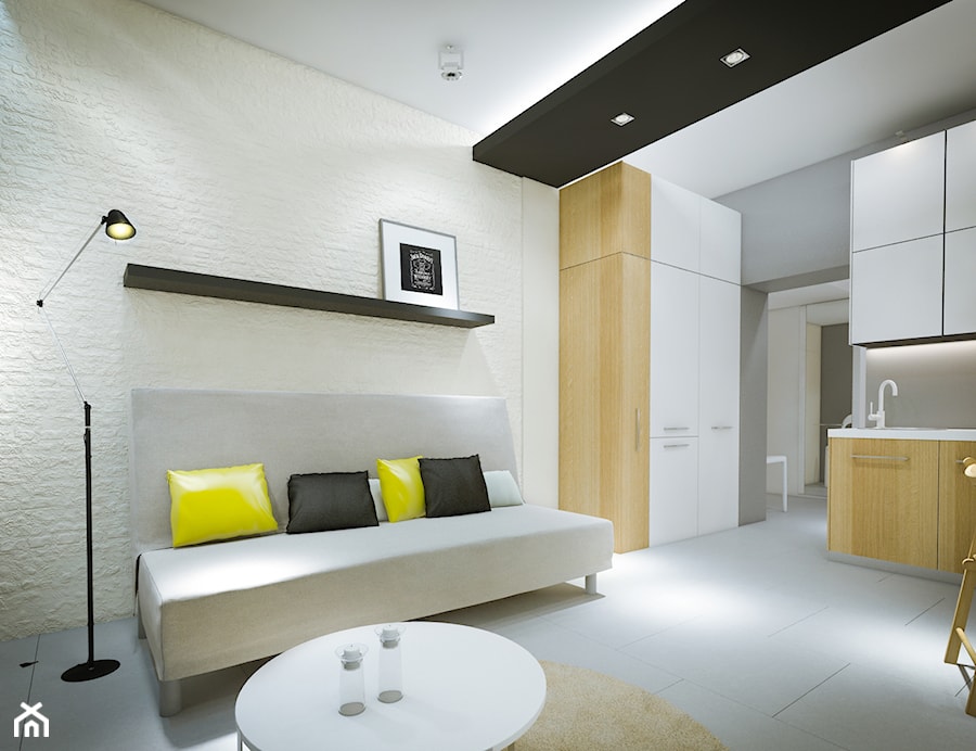 Pokój z kuchnią zamieniony w dwupokojowe mieszkanie - Salon - zdjęcie od Nubo Interior