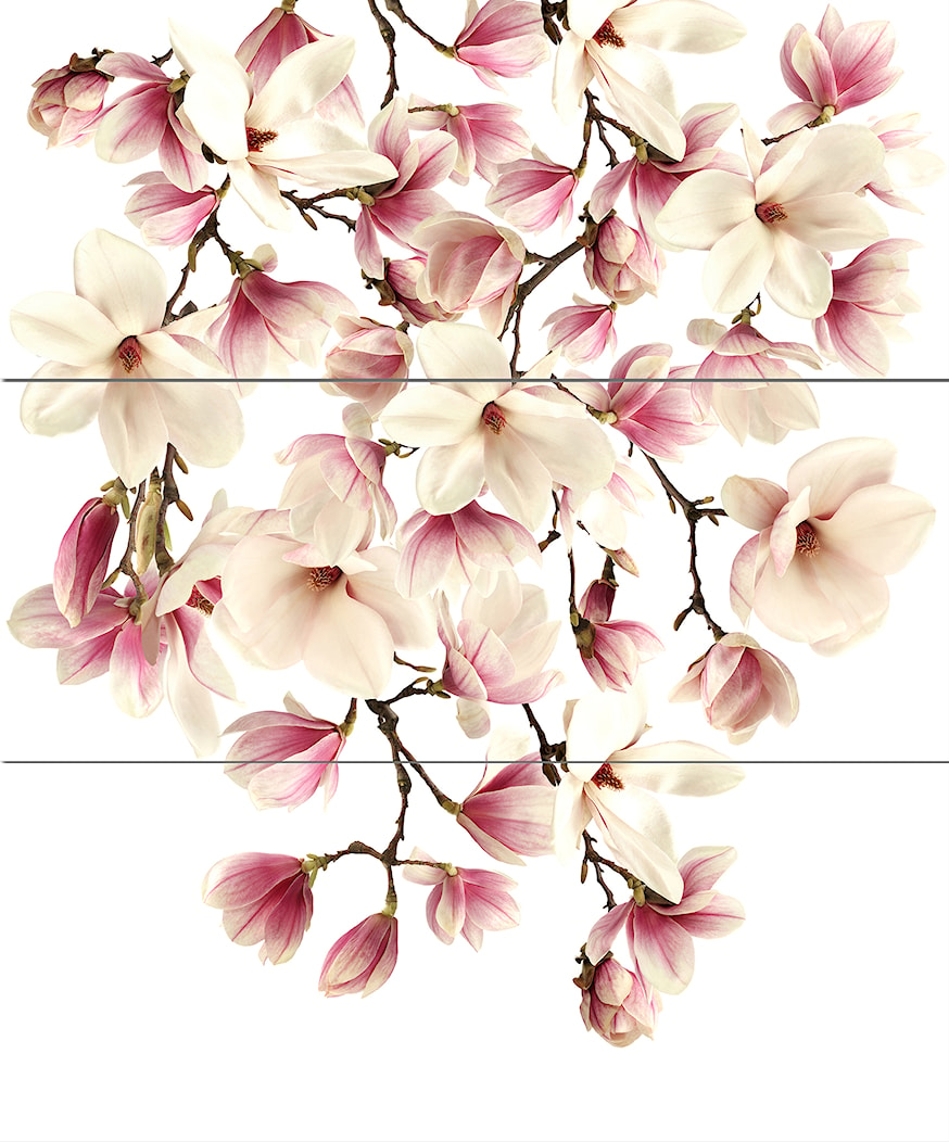 Magnolia - zdjęcie od Ceramika Creative - Homebook