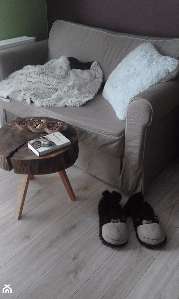 sofa, ciepły koc, pluszowe kapcie, dobra książka i orzechy to to, co potrzebne do szczęścia na długie jesienne wieczory - zdjęcie od Klaudia Grabowska - Homebook