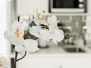 Apartament Crystal - Średnia szara jadalnia w salonie, styl tradycyjny - zdjęcie od Angela Lamk