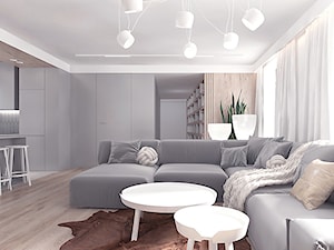 Projekt 12 - Średni szary salon z kuchnią z jadalnią, styl skandynawski - zdjęcie od Pracownia projektowania wnęrz Loci