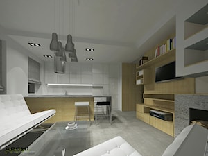 Projekt mieszkania w Krakowie o pow. 60 m2 - Salon, styl nowoczesny - zdjęcie od ARCHI Longa