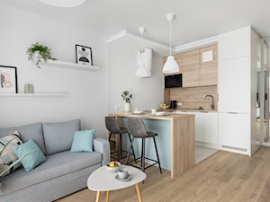 mieszkanie na wynajem - Salon, styl nowoczesny - zdjęcie od ip-design