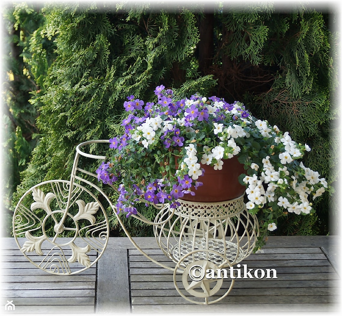 Ogrodowe meble w stylu prowansalskim - Ogród, styl prowansalski - zdjęcie od Antikon Galeria - Homebook