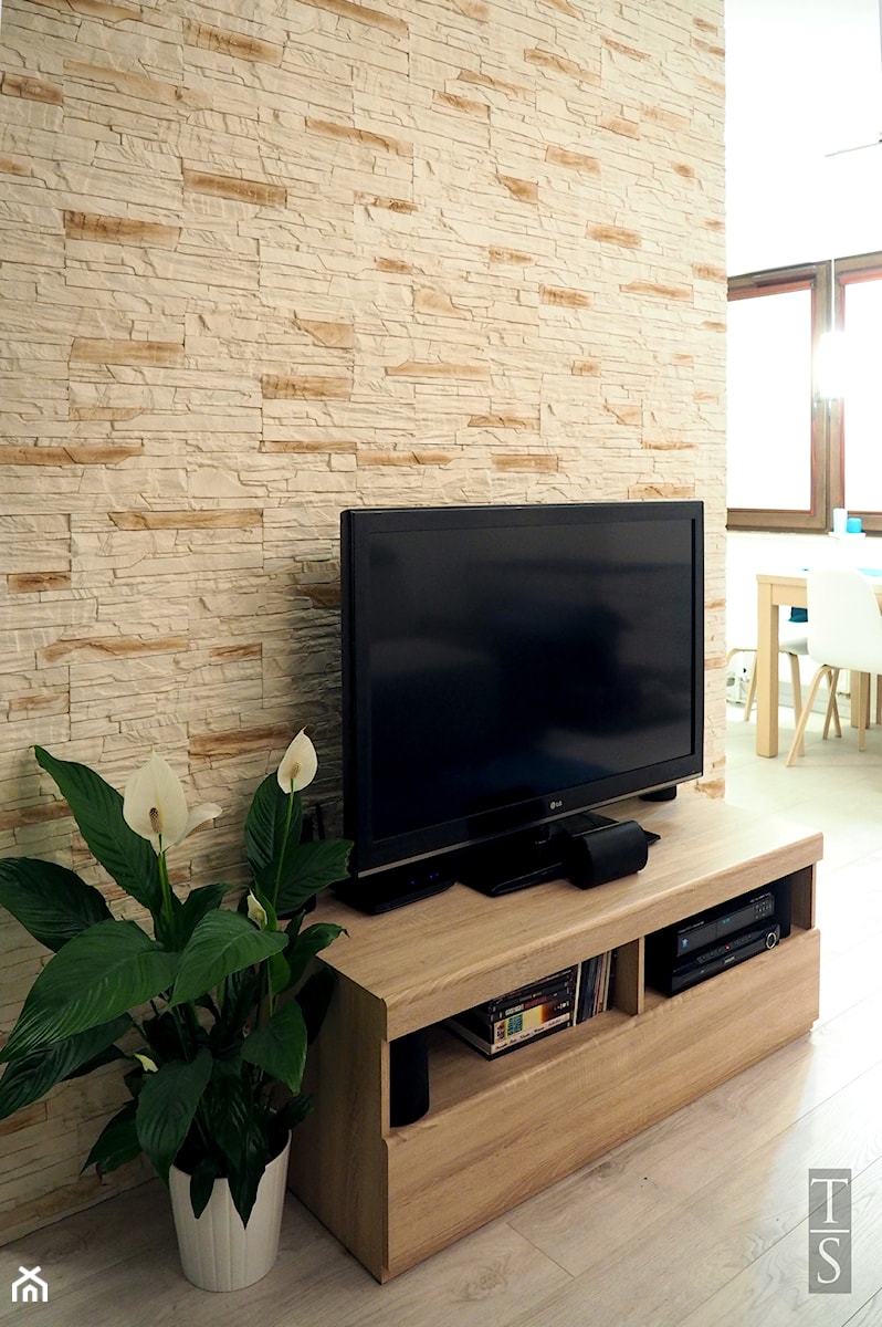 Salon - ściana TV - zdjęcie od Trykowska Studio
