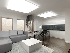 projekty - Salon, styl nowoczesny - zdjęcie od marina suchorska architektura wnętrz