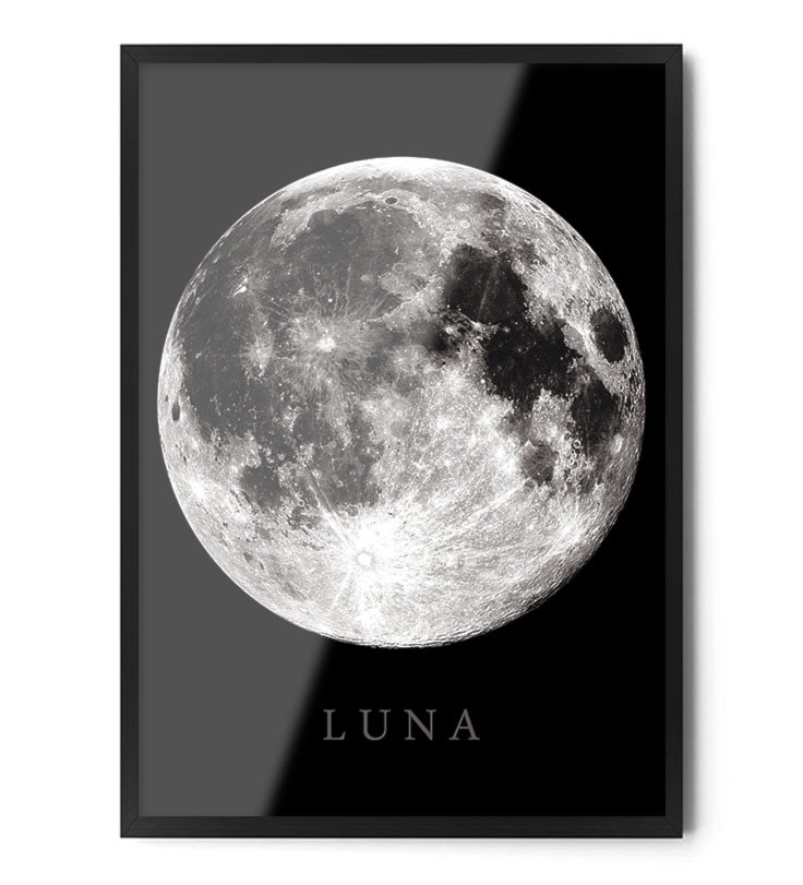 Plakat LUNA - zdjęcie od Fox Art Studio - Homebook