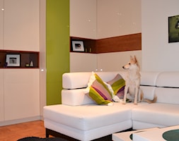 mieszkanie A - Salon, styl nowoczesny - zdjęcie od HSHmg - Homebook
