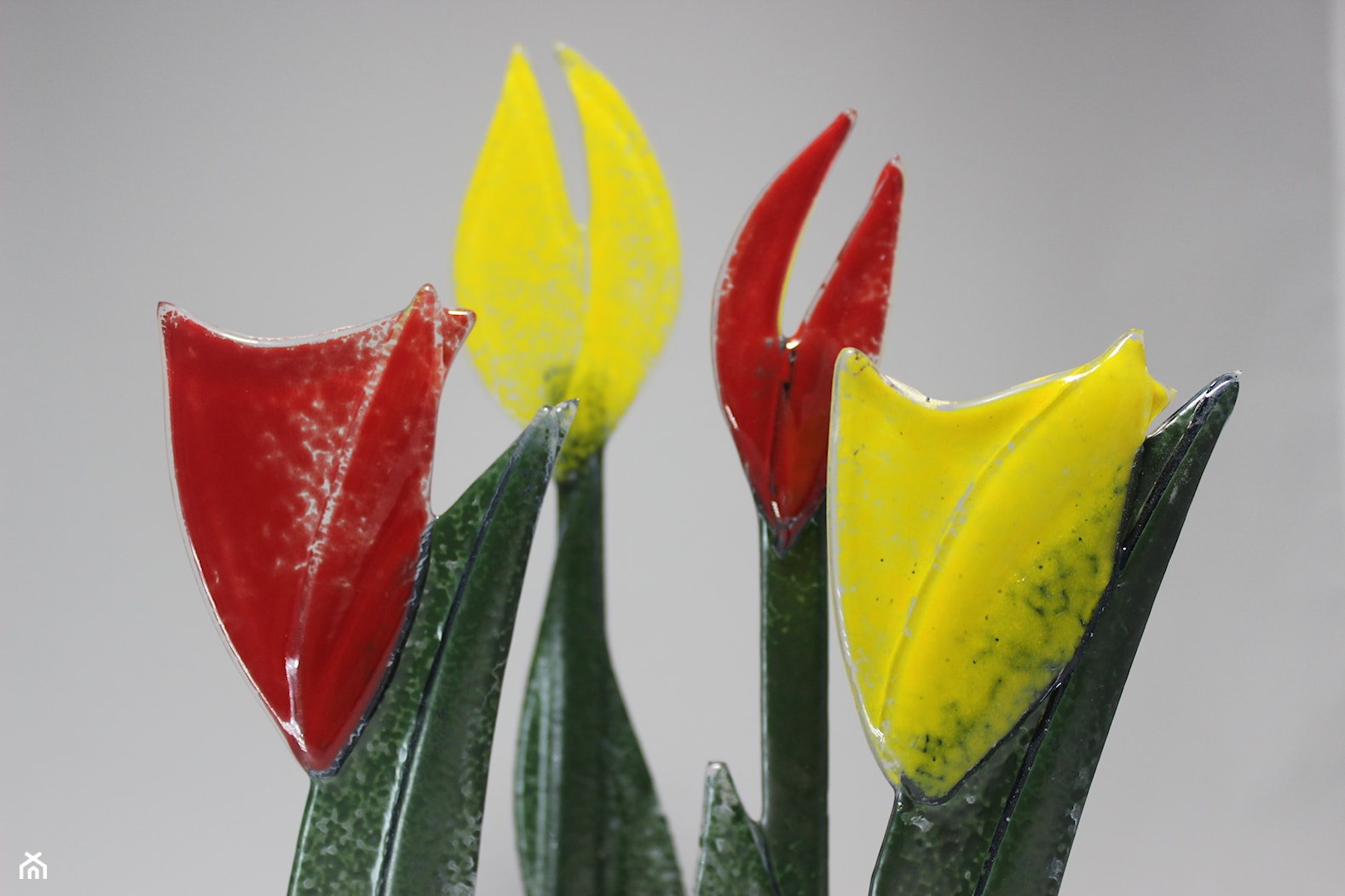 szklane kwiaty, tulipany - zdjęcie od Cascara emil-kopczynski - Homebook