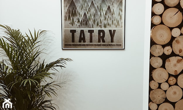 plakat tatry ryszard kaja