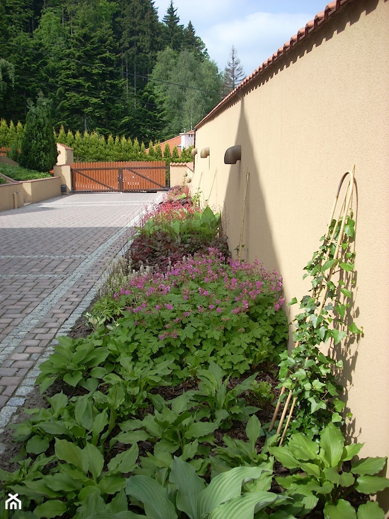 OGRÓD POD LASEM - BIELSKO-BIAŁA - Średni z nawierzchnią pokrytą kostką brukową ogród przed domem - zdjęcie od RobimyOgrod - Homebook