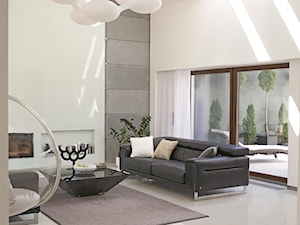 Dom pod Częstochową 1 - Salon, styl minimalistyczny - zdjęcie od MINIMOO Architektura Wnętrz