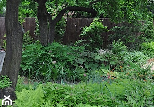 ogród leśny - zdjęcie od Zielona Przystań