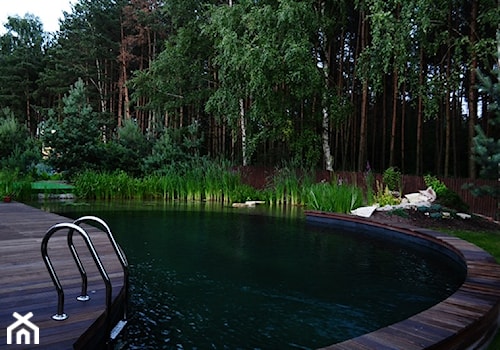 staw kąpielowy - zdjęcie od Zielona Przystań