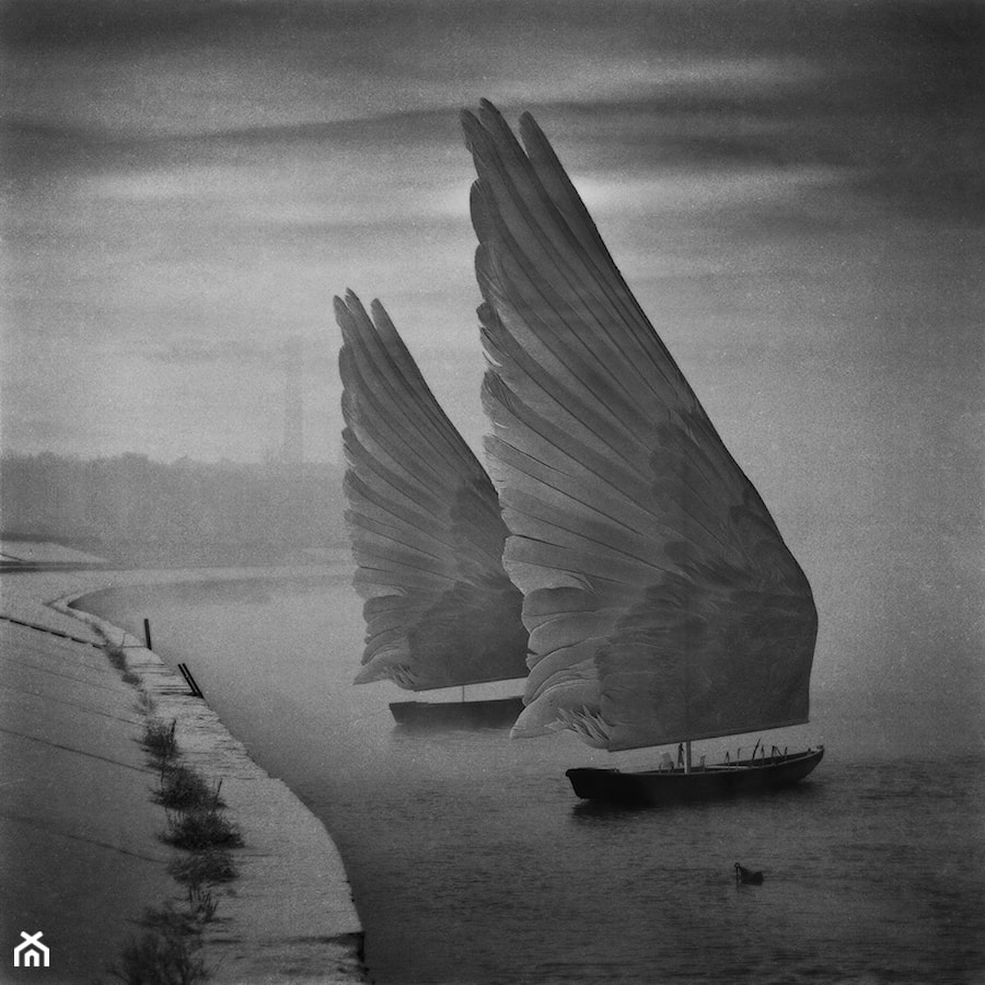 Wings Of Imagination - zdjęcie od KWADRART Dariusz Klimczak