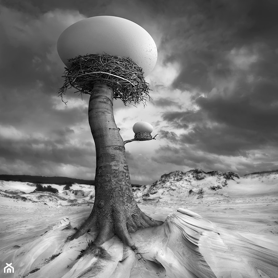 Gniazda - zdjęcie od KWADRART Dariusz Klimczak