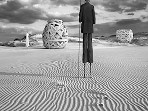 Ringman - zdjęcie od KWADRART Dariusz Klimczak