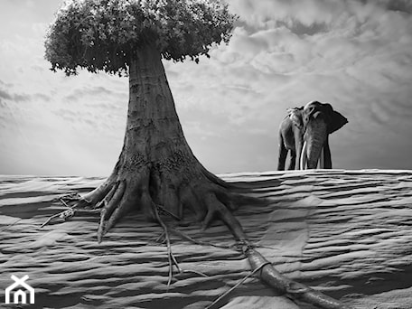 Aranżacje wnętrz - Salon: Elephantasy - KWADRART Dariusz Klimczak. Przeglądaj, dodawaj i zapisuj najlepsze zdjęcia, pomysły i inspiracje designerskie. W bazie mamy już prawie milion fotografii!