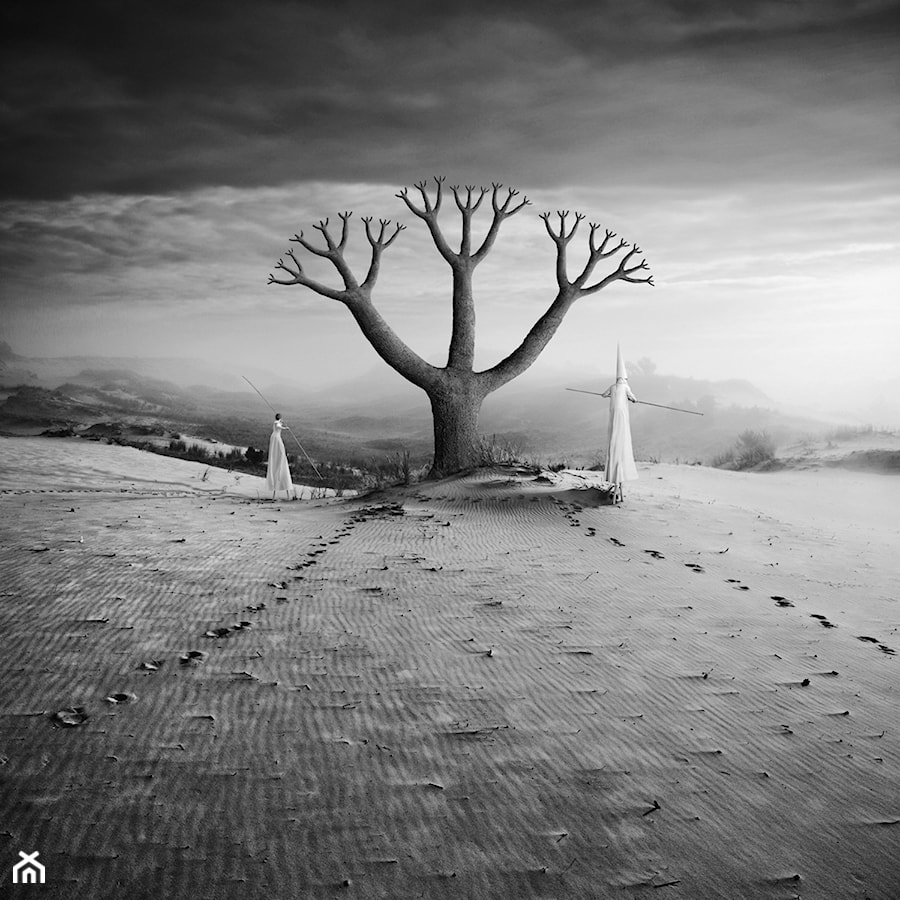 Eden - zdjęcie od KWADRART Dariusz Klimczak