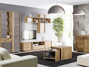 Meble do salonu - Woodline Home Concept, Klose - zdjęcie od Klose