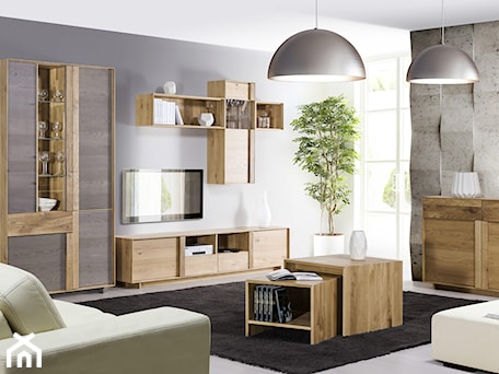 Aranżacje wnętrz - Salon: Meble do salonu - Woodline Home Concept, Klose - Klose. Przeglądaj, dodawaj i zapisuj najlepsze zdjęcia, pomysły i inspiracje designerskie. W bazie mamy już prawie milion fotografii!