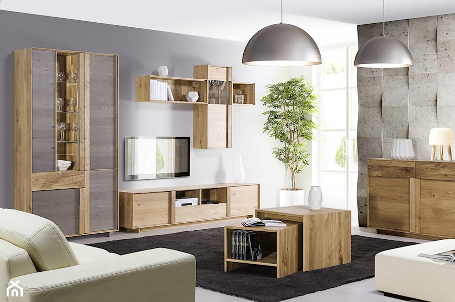 Meble do salonu - Woodline Home Concept, Klose - zdjęcie od Klose