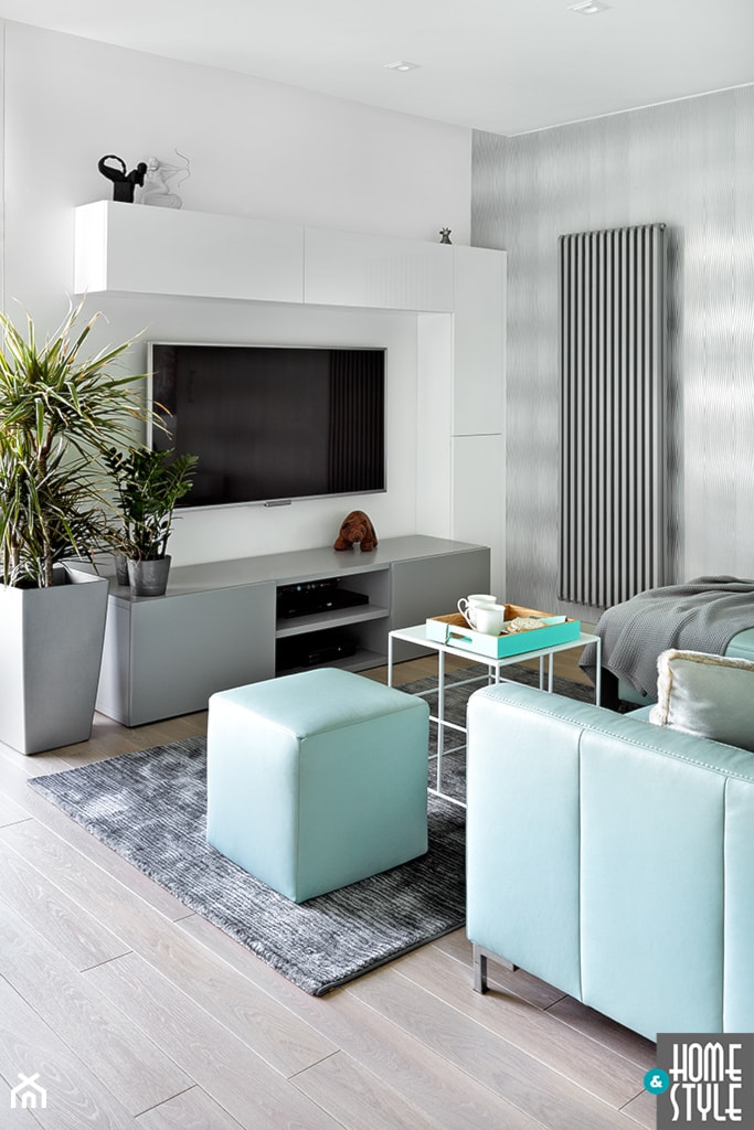 REALIZACJA mieszkania z przyrodą w tle - Salon, styl nowoczesny - zdjęcie od HOME & STYLE Katarzyna Rohde