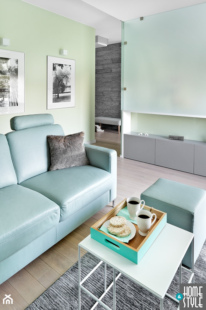 REALIZACJA mieszkania z przyrodą w tle - Salon, styl nowoczesny - zdjęcie od HOME & STYLE Katarzyna Rohde