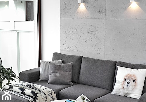 REALIZACJA mieszkania z czarnym jeleniem - Biały szary salon, styl nowoczesny - zdjęcie od HOME & STYLE Katarzyna Rohde