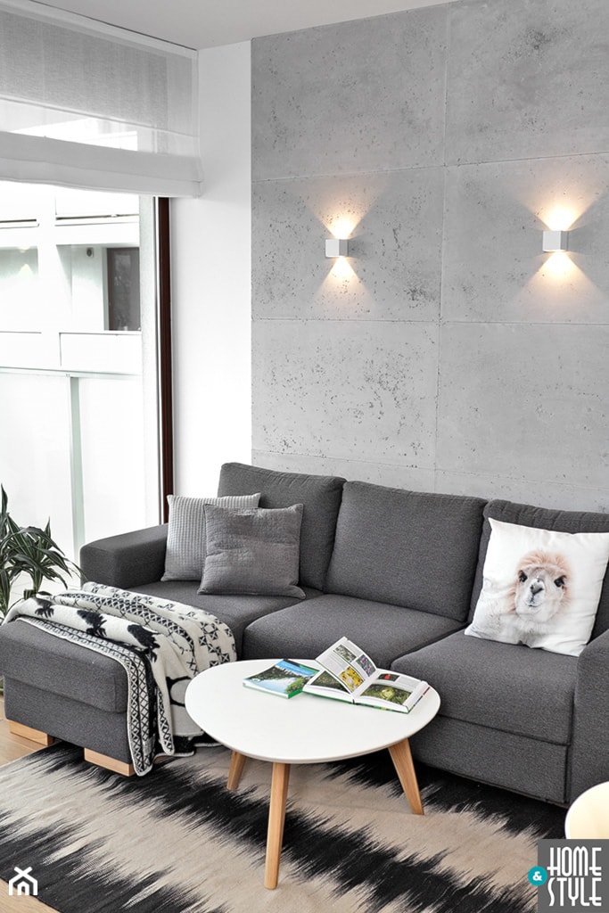 REALIZACJA mieszkania z czarnym jeleniem - Biały szary salon, styl nowoczesny - zdjęcie od HOME & STYLE Katarzyna Rohde - Homebook