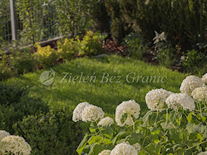 Nowoczesny ogród przydomowy - Ogród, styl nowoczesny - zdjęcie od Zieleń Bez Granic Hanna Irek