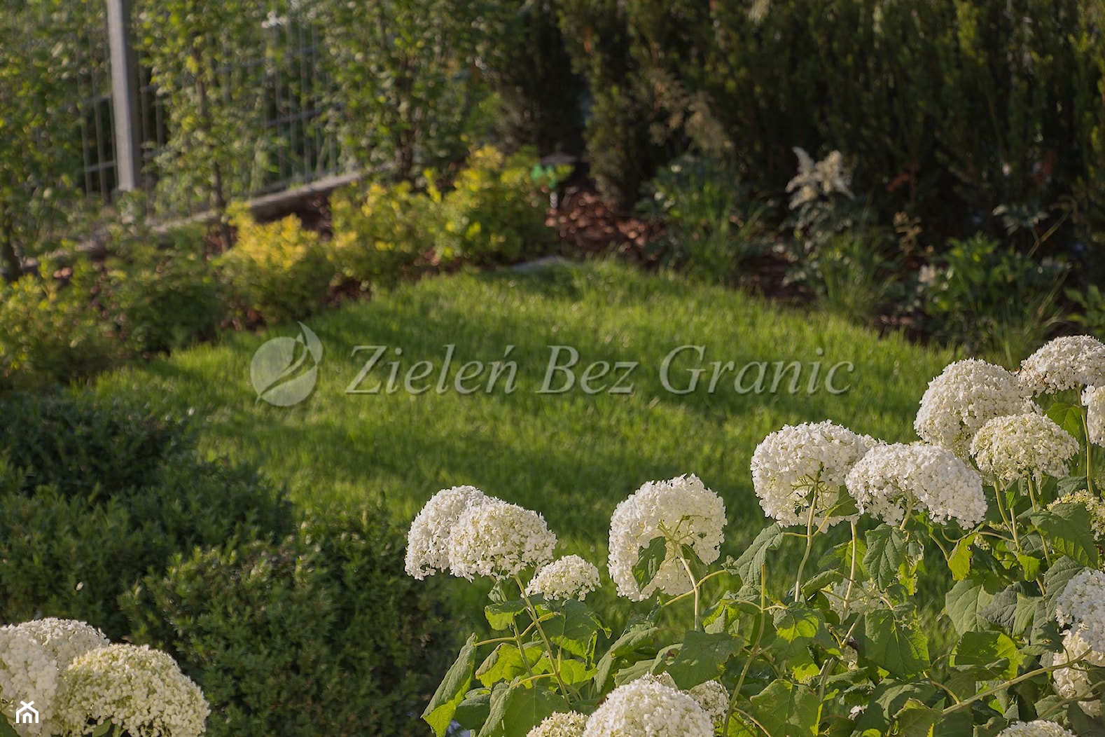 Nowoczesny ogród przydomowy - Ogród, styl nowoczesny - zdjęcie od Zieleń Bez Granic Hanna Irek - Homebook